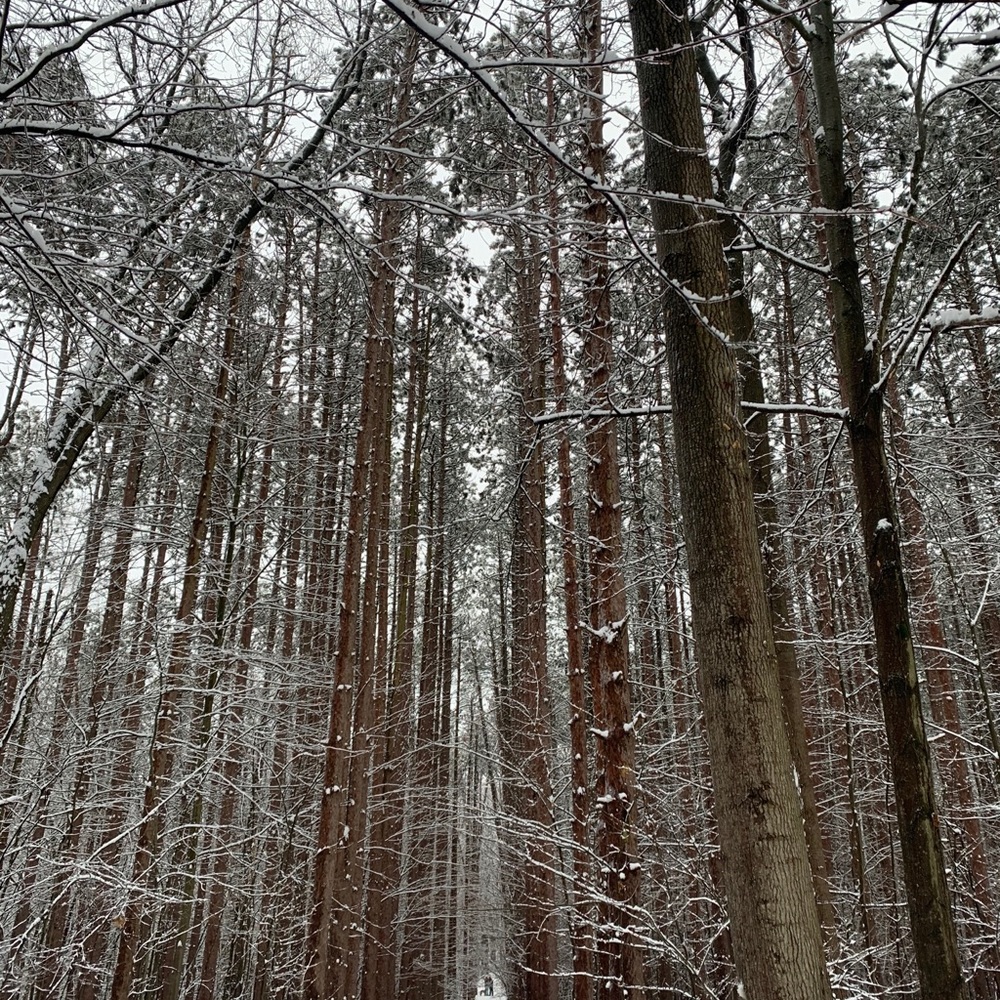 Meet your Posher, Maija